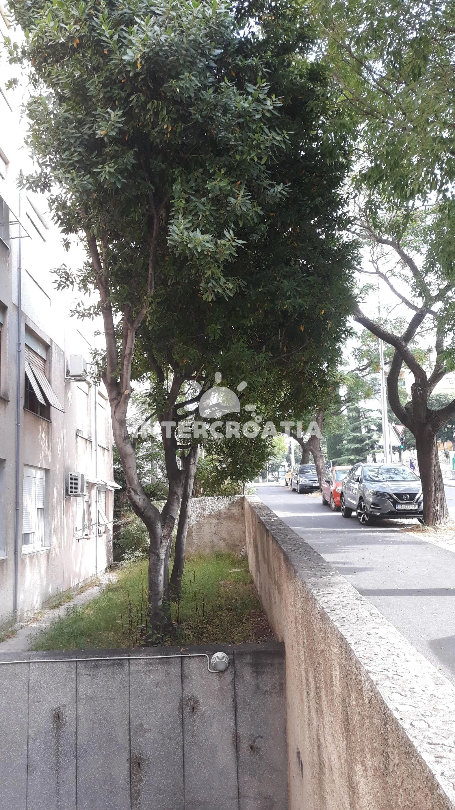 Apartmán Střední Dalmácie - Split DA 7934 N1