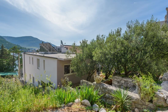 Apartmán Jižní Dalmácie - Klek DA 7944 N1