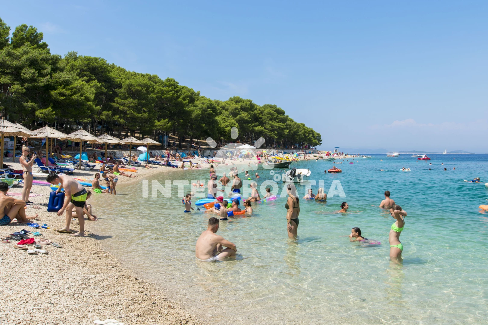 Apartmán Severní Dalmácie - Primošten DA 7946 N1