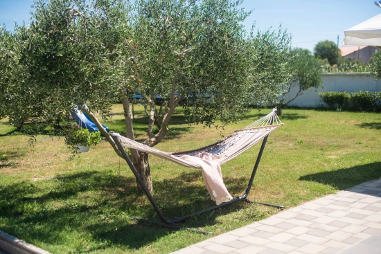 Domek Severní Dalmácie - Galovac (Zadar) DA 7955 N1