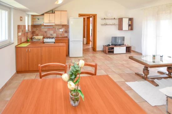 Apartmán Severní Dalmácie - Sveti Filip i Jakov (Biograd) DA 7956 N1