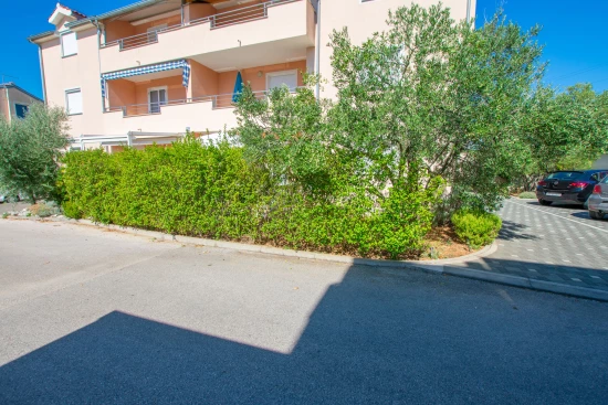 Apartmán Severní Dalmácie - Sveti Filip i Jakov (Biograd) DA 7957 N1