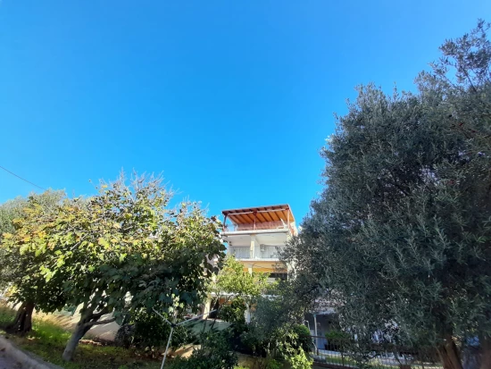 Apartmán Severní Dalmácie - Sveti Filip i Jakov (Biograd) DA 7961 N2