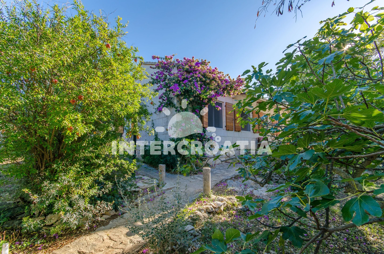 Domek Ostrov Hvar - Hvar OS 9946 N1