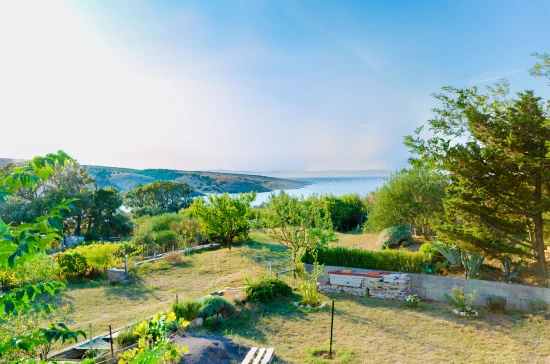 Apartmán Ostrov Rab - Lopar OS 9950 N1