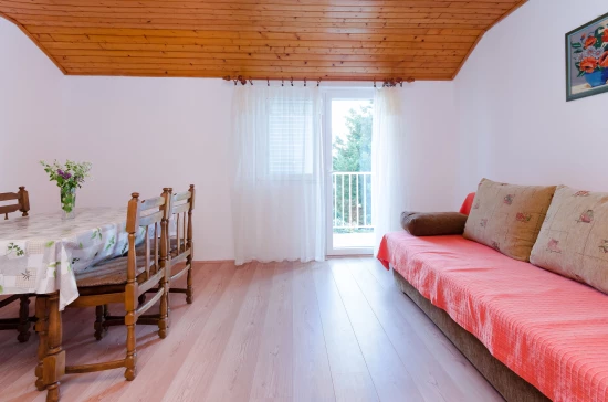 Apartmán Ostrov Rab - Lopar OS 9950 N1