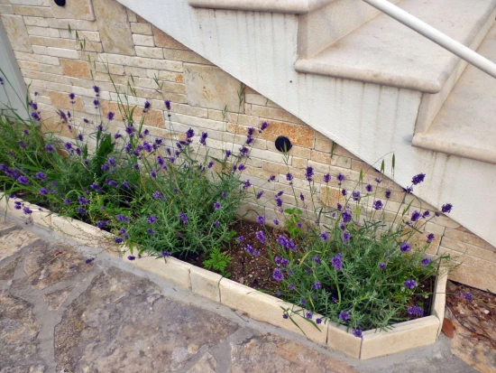 Apartmán Severní Dalmácie - Starigrad Paklenica DA 7977 N1