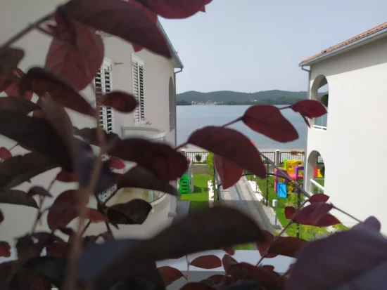 Apartmán Černá Hora - Tivat CH 7055 N1