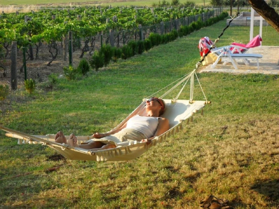 Domek Severní Dalmácie - Drniš (Šibenik) DA 7995 N1