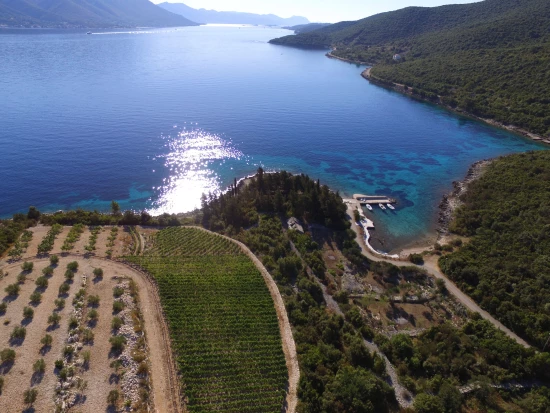 Apartmán Ostrov Korčula - Kneza OS 9961 N2