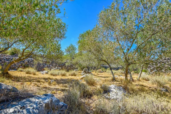 Domek Ostrov Pašman - Nevidane OS 9964 N1