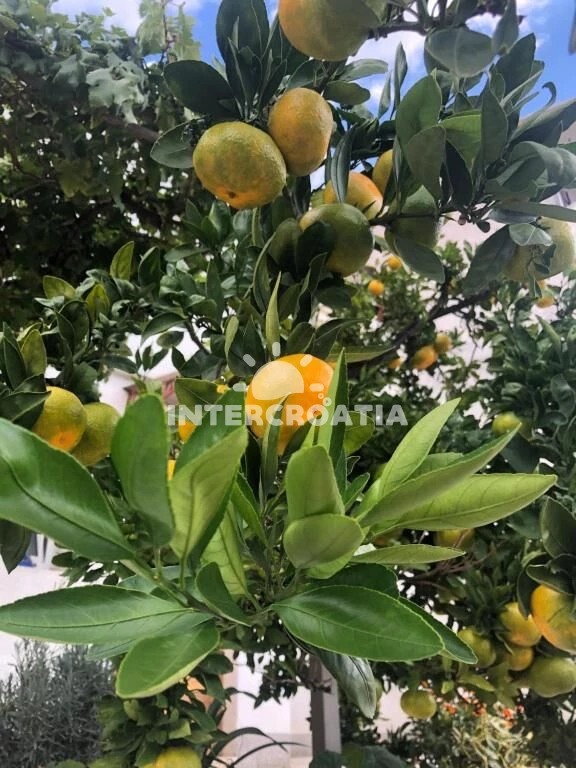 Apartmán Kvarner - Crikvenica KV 7467 N1