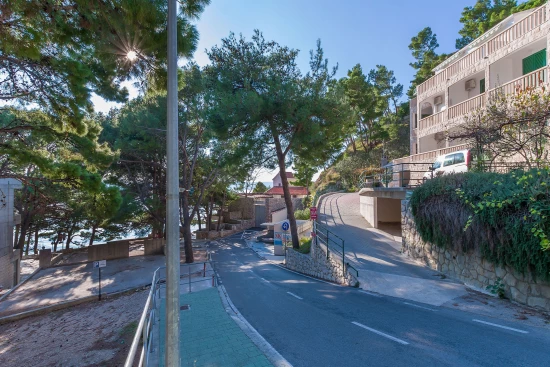 Apartmán Střední Dalmácie - Brela DA 8001 N1