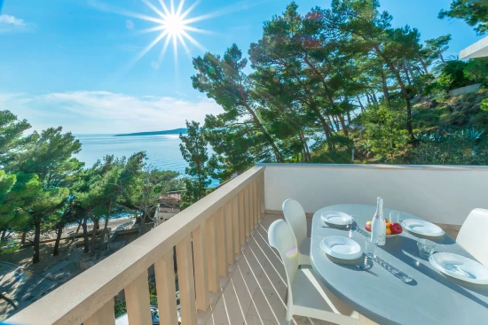 Apartmán Střední Dalmácie - Brela DA 8001 N1