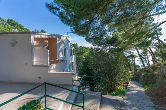 Apartmán Střední Dalmácie - Brela DA 8001 N1