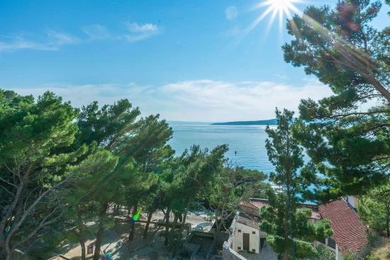 Apartmán Střední Dalmácie - Brela DA 8001 N1