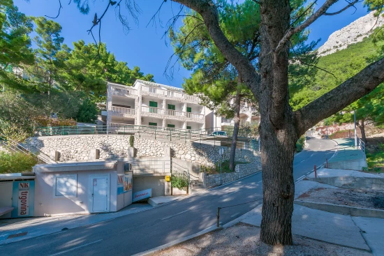 Apartmán Střední Dalmácie - Brela DA 8001 N1