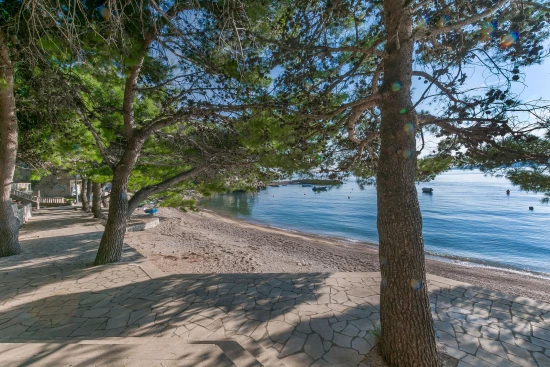 Apartmán Střední Dalmácie - Brela DA 8001 N1