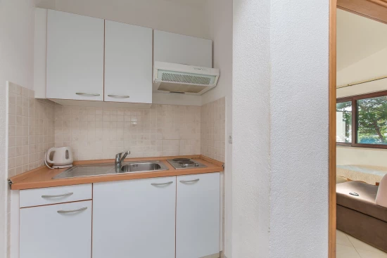 Apartmán Střední Dalmácie - Brela DA 8001 N1