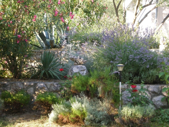 Apartmán Ostrov Rab - Rab OS 9975 N2