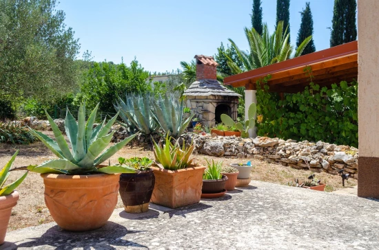 Apartmán Ostrov Korčula - Vela Luka OS 9978 N2