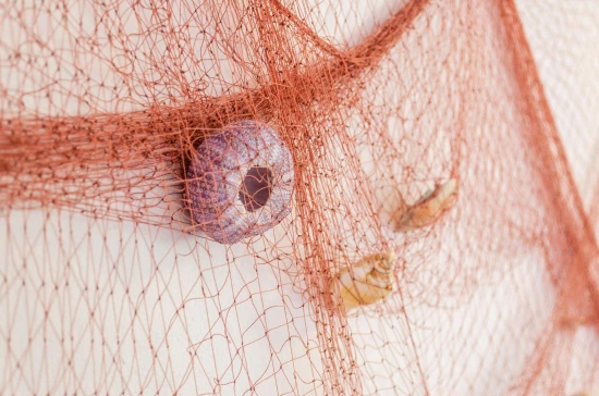 Apartmán Ostrov Korčula - Vela Luka OS 9978 N2