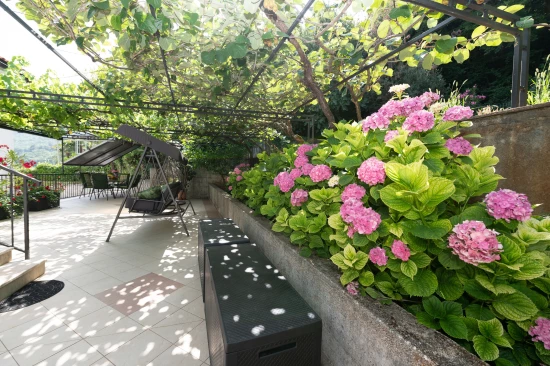 Apartmán Kvarner - Opatija KV 7481 N1