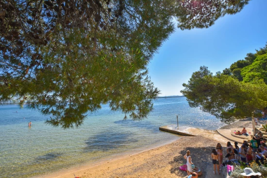 Apartmán Ostrov Pašman - Tkon OS 9980 N3