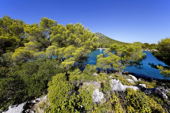 Apartmán Ostrov Pašman - Tkon OS 9980 N3