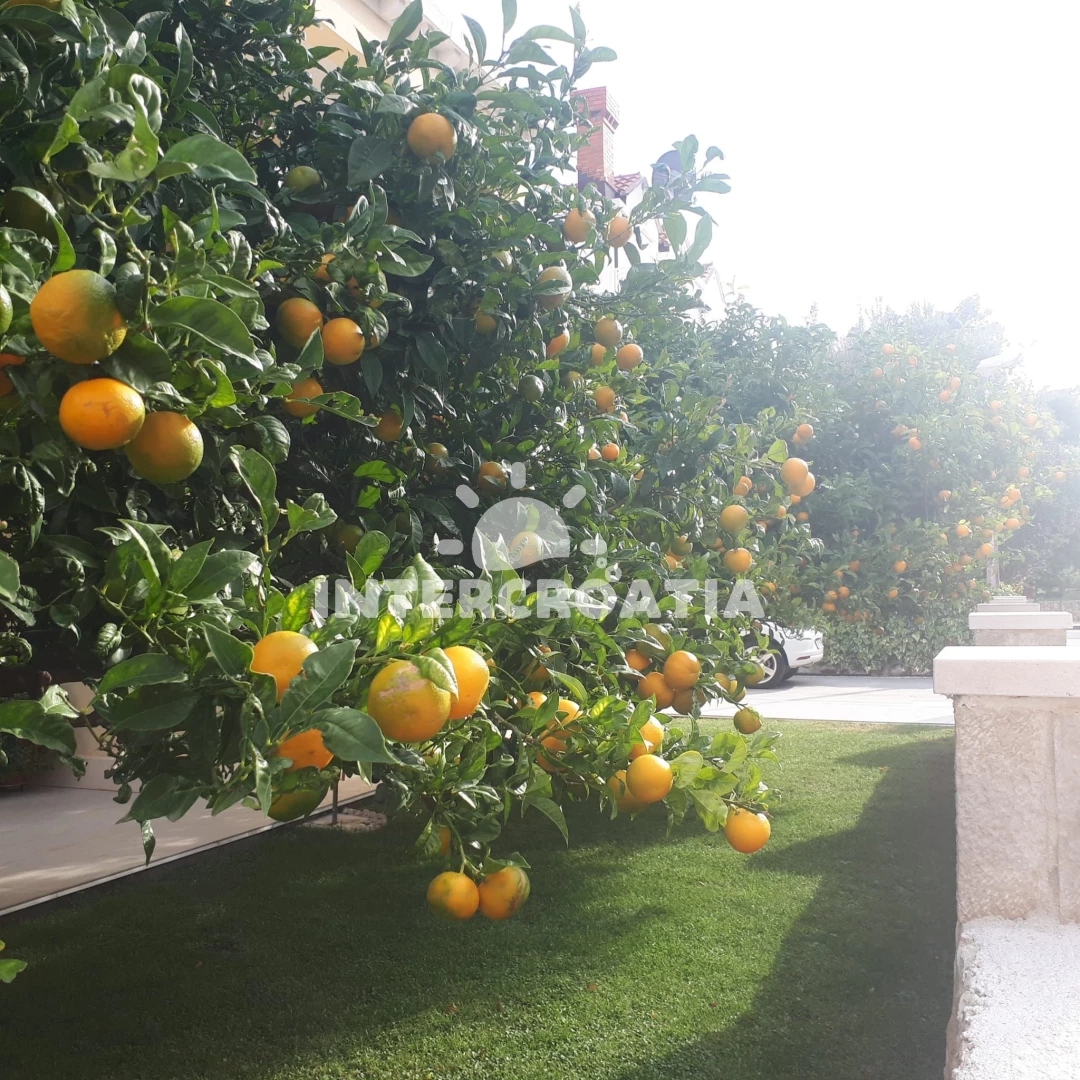 Apartmán Jižní Dalmácie - Cavtat (Dubrovník) DA 8020 N2