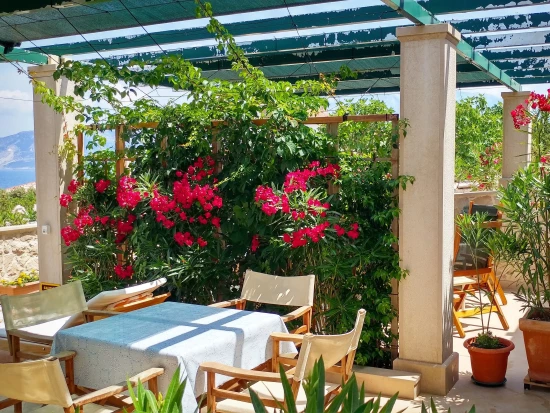 Apartmán Ostrov Brač - Povlja OS 9997 N1