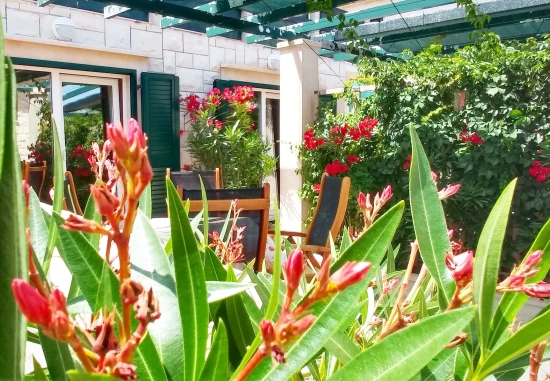 Apartmán Ostrov Brač - Povlja OS 9997 N1