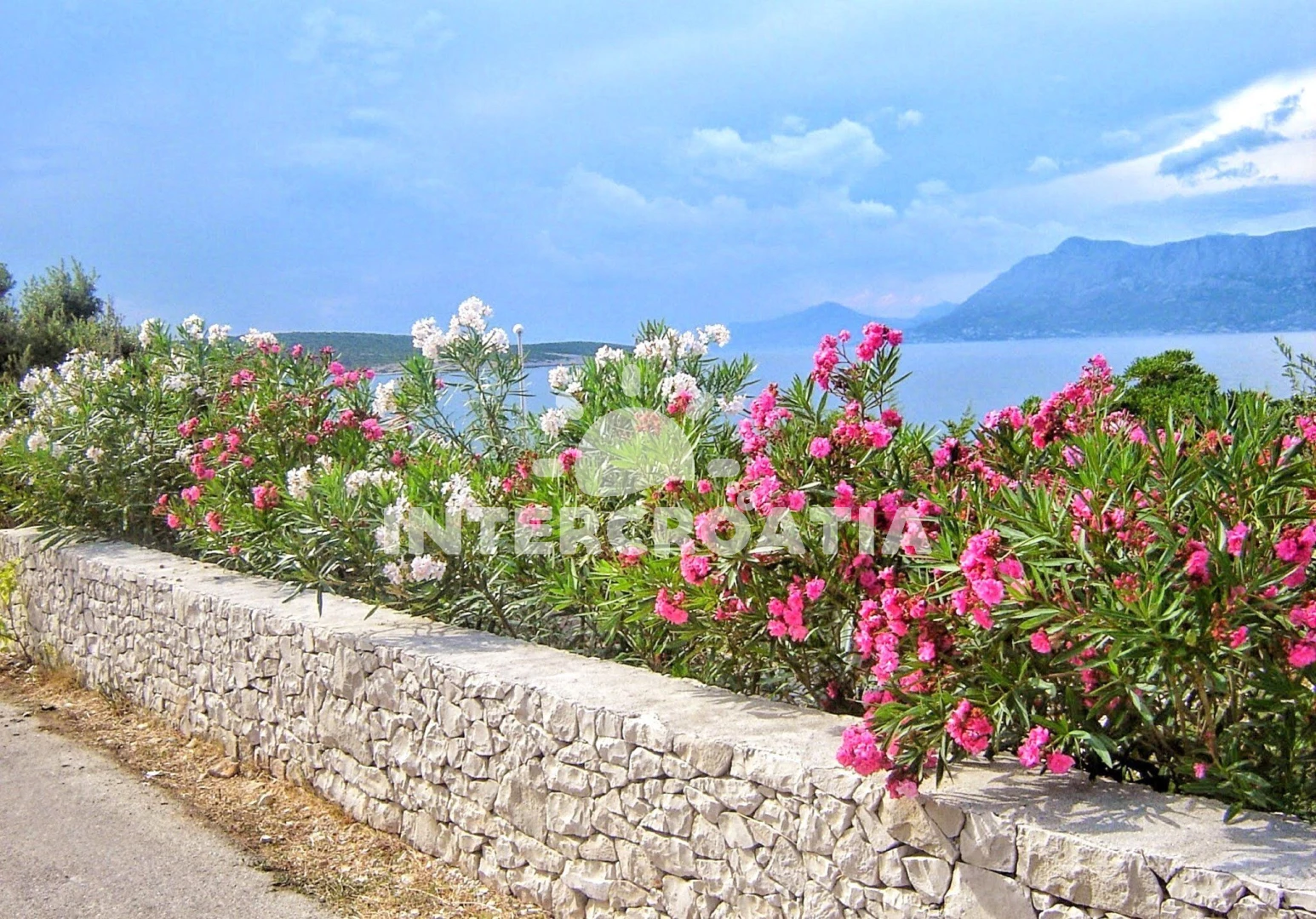 Apartmán Ostrov Brač - Povlja OS 9997 N2