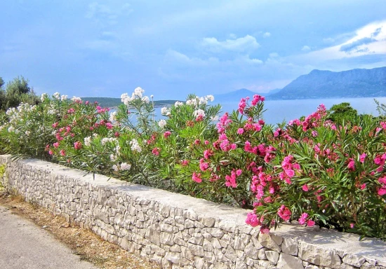 Apartmán Ostrov Brač - Povlja OS 9997 N2