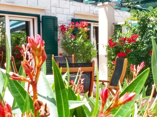 Apartmán Ostrov Brač - Povlja OS 9997 N2