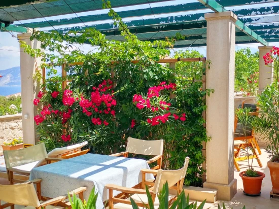 Apartmán Ostrov Brač - Povlja OS 9997 N2