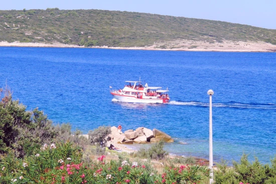 Apartmán Ostrov Brač - Povlja OS 9997 N2