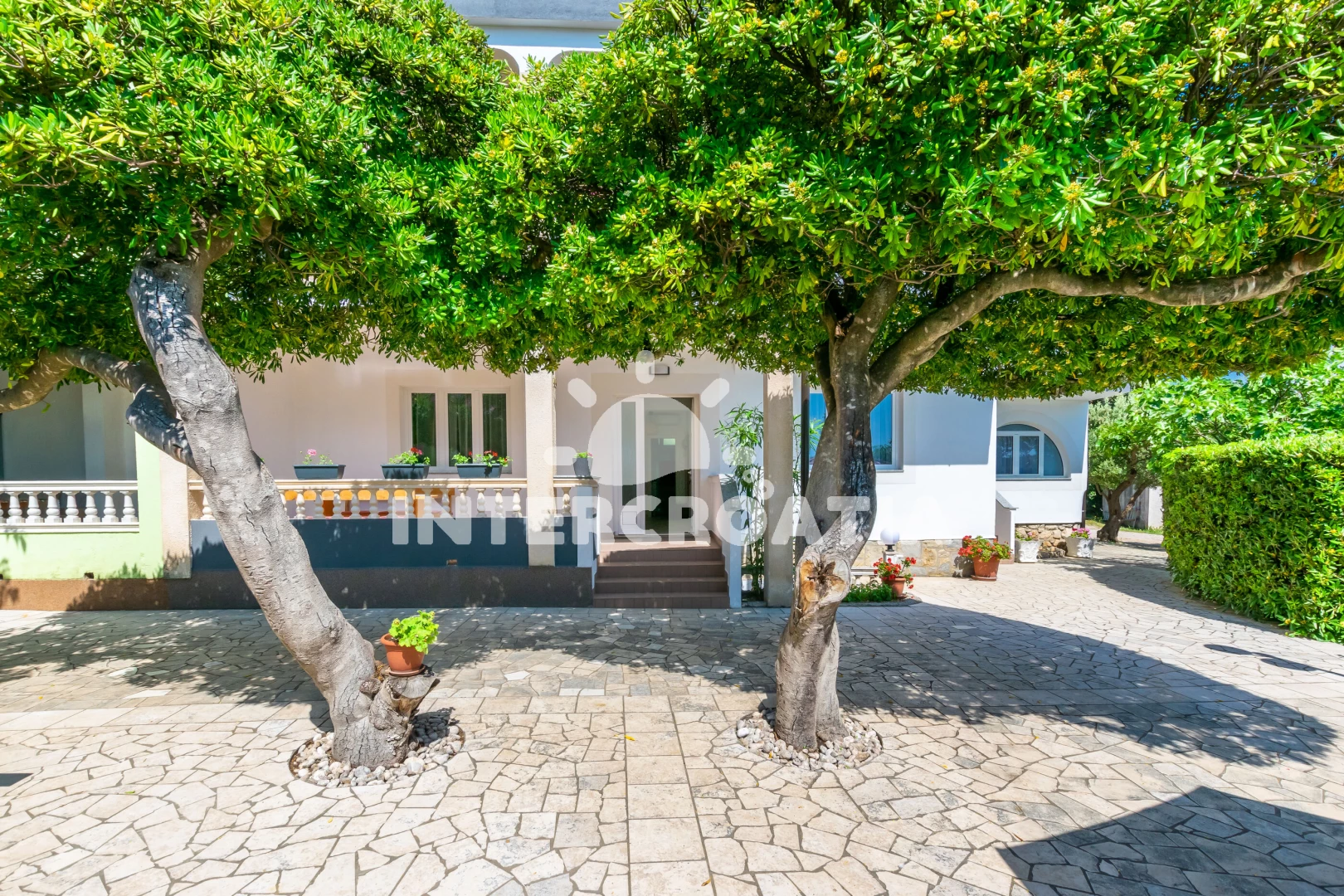 Apartmán Ostrov Rab - Barbat OS 10000 N1