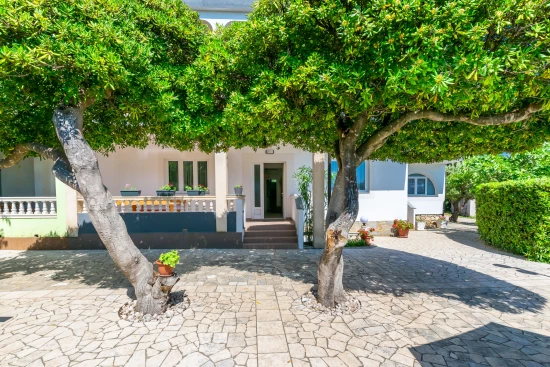 Apartmán Ostrov Rab - Barbat OS 10000 N1