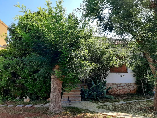 Domek Ostrov Pag - Novalja OS 10002 N1