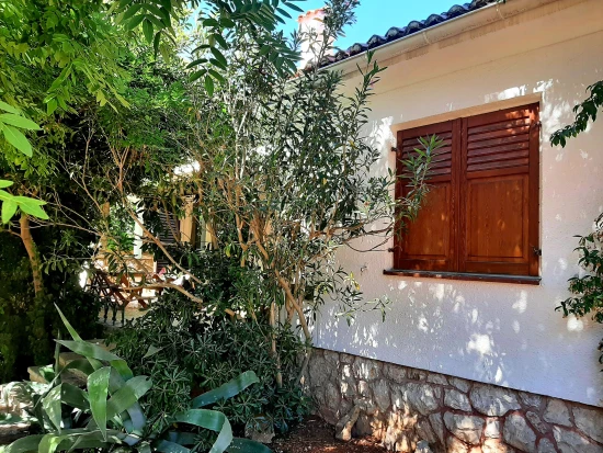 Domek Ostrov Pag - Novalja OS 10002 N1