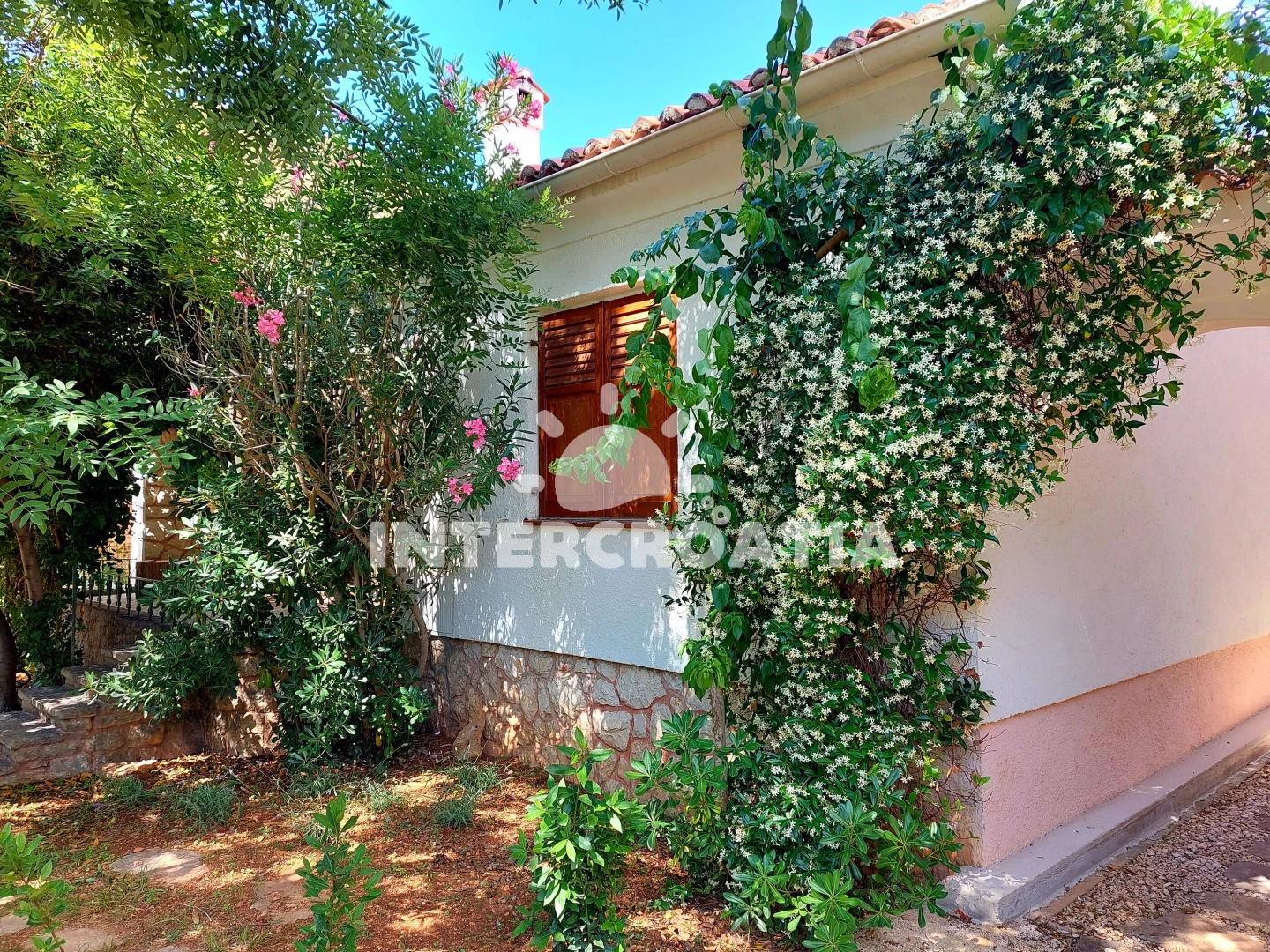 Domek Ostrov Pag - Novalja OS 10002 N1