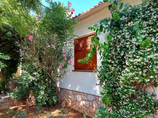 Domek Ostrov Pag - Novalja OS 10002 N1