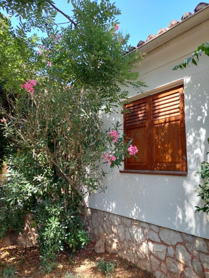 Domek Ostrov Pag - Novalja OS 10002 N1