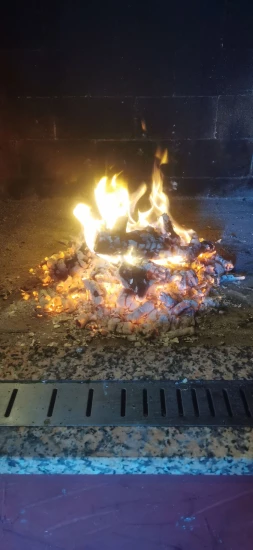 Apartmán Severní Dalmácie - Šibenik DA 8039 N1