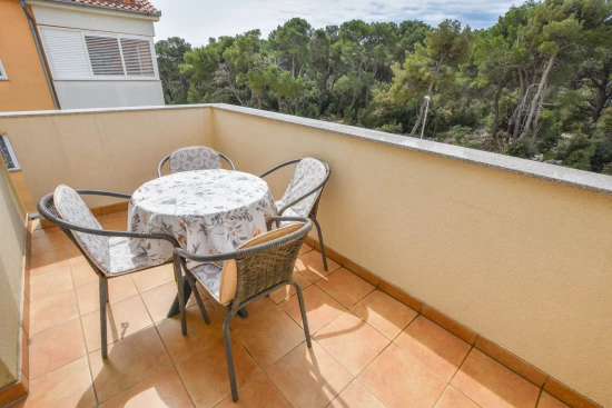Apartmán Severní Dalmácie - Biograd na Moru DA 8041 N1