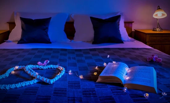 Domek Severní Dalmácie - Svinišće DA 8045 N1