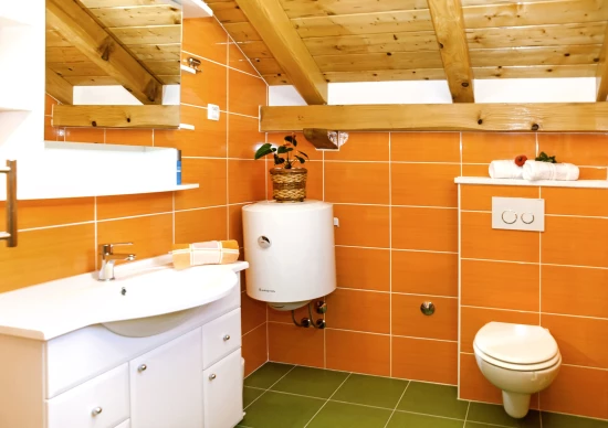 Domek Severní Dalmácie - Svinišće DA 8045 N1