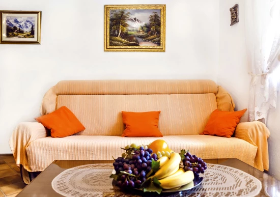 Domek Severní Dalmácie - Svinišće DA 8045 N1