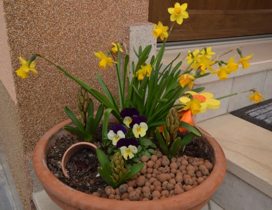 Domek Kvarner - Jurdani (Opatija) KV 7493 N1